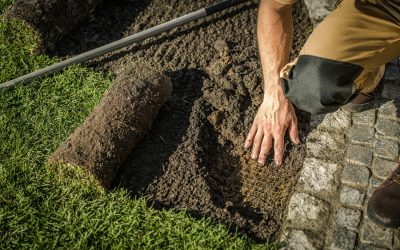 Underground Garden Fencing Underground Fencing and Grass Installation in a Garden. Caucasian Gardener. Agriculture Industry.